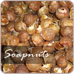 private label wholesale soap nuts Central